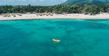 un grupo de personas nadando en un cuerpo de agua