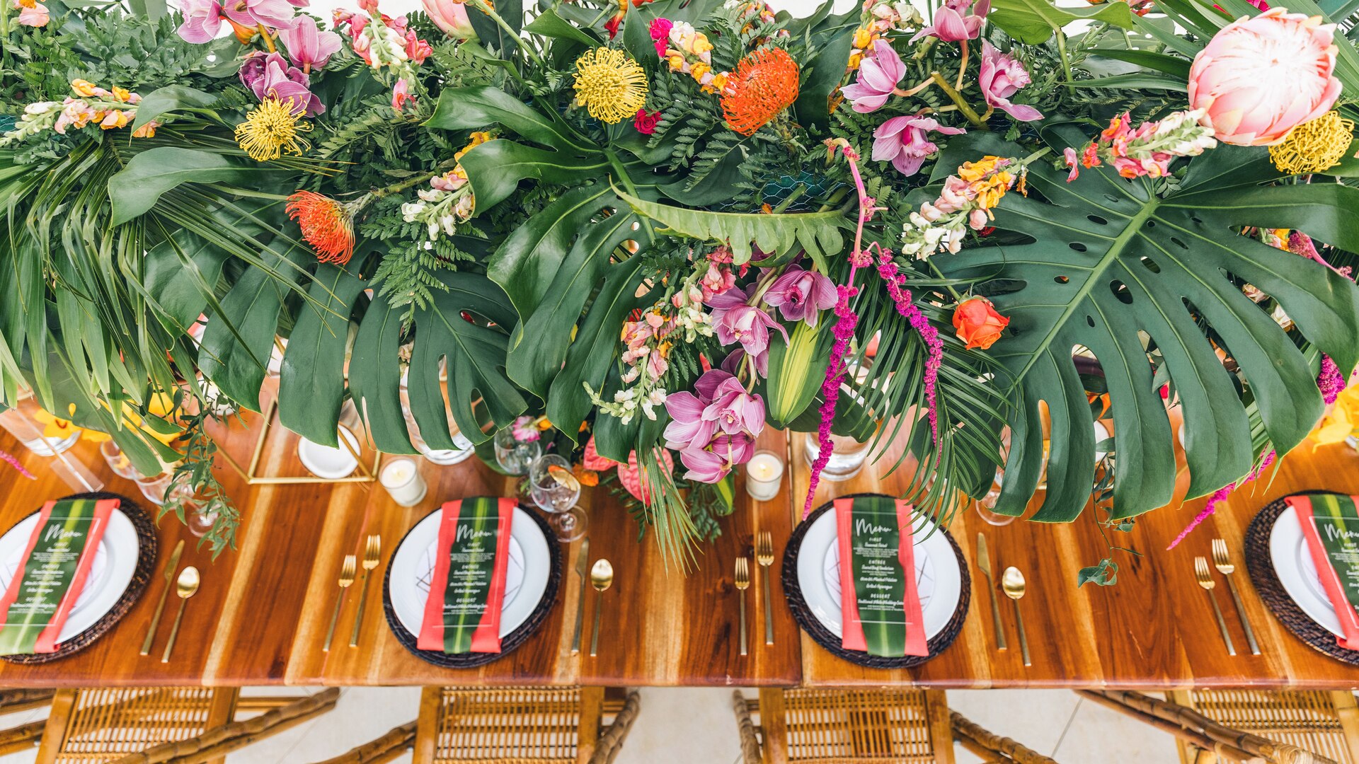 eine Nahaufnahme einer Blume