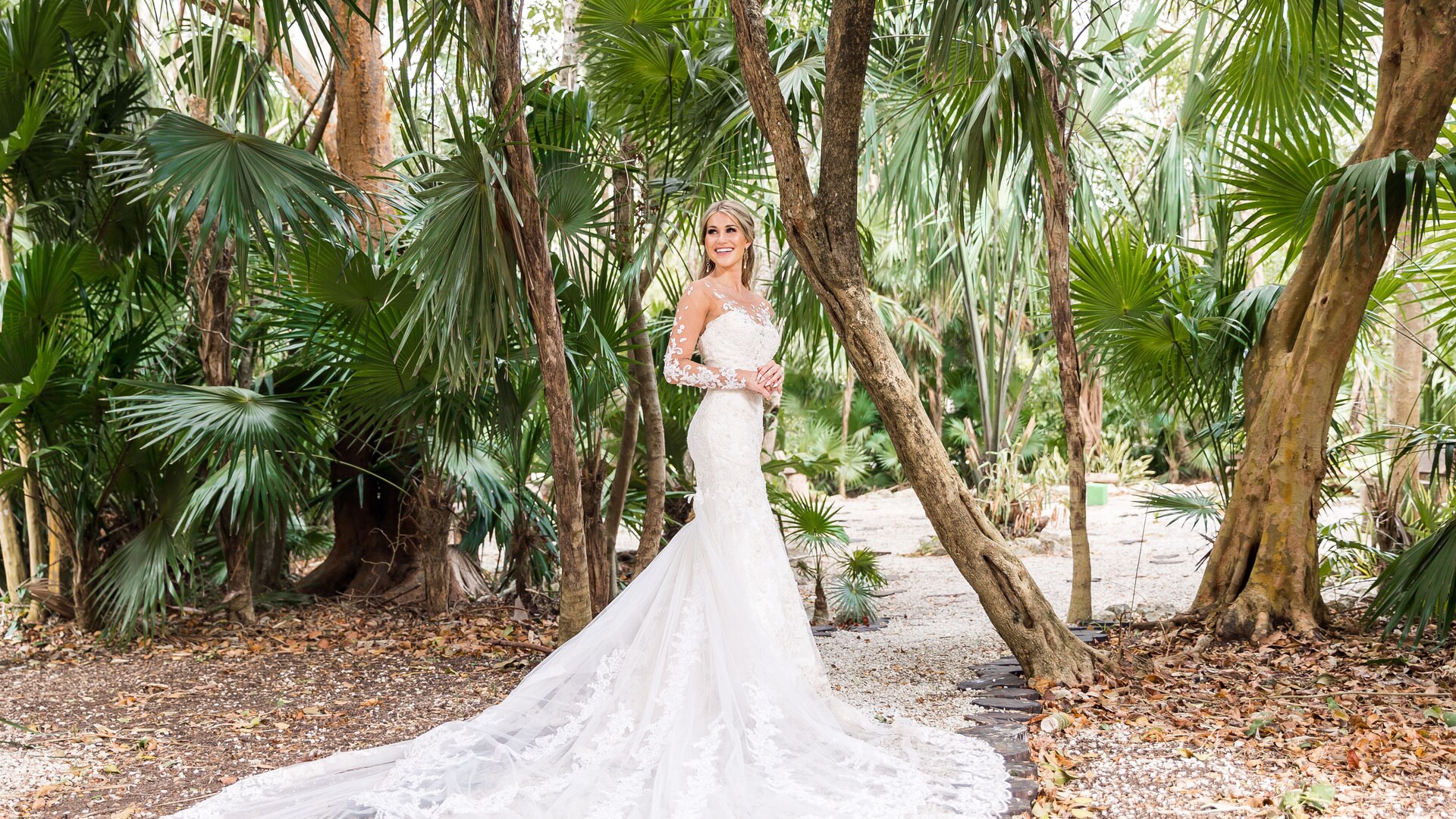 a giraffe standing next to a tree