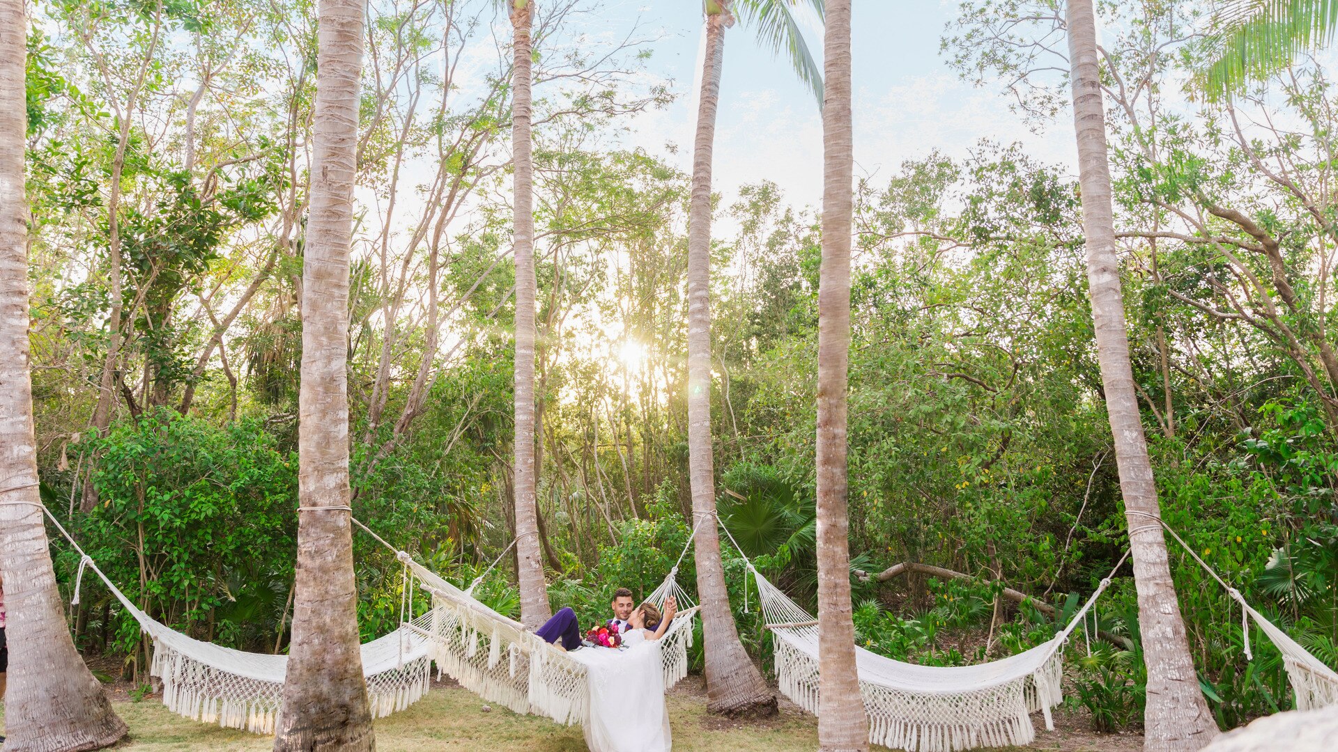 a group of giraffe standing next to a tree
