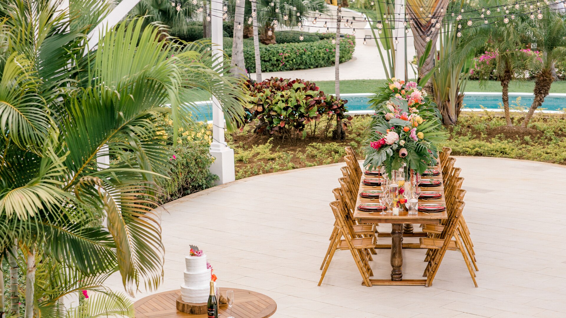 a palm tree on a table
