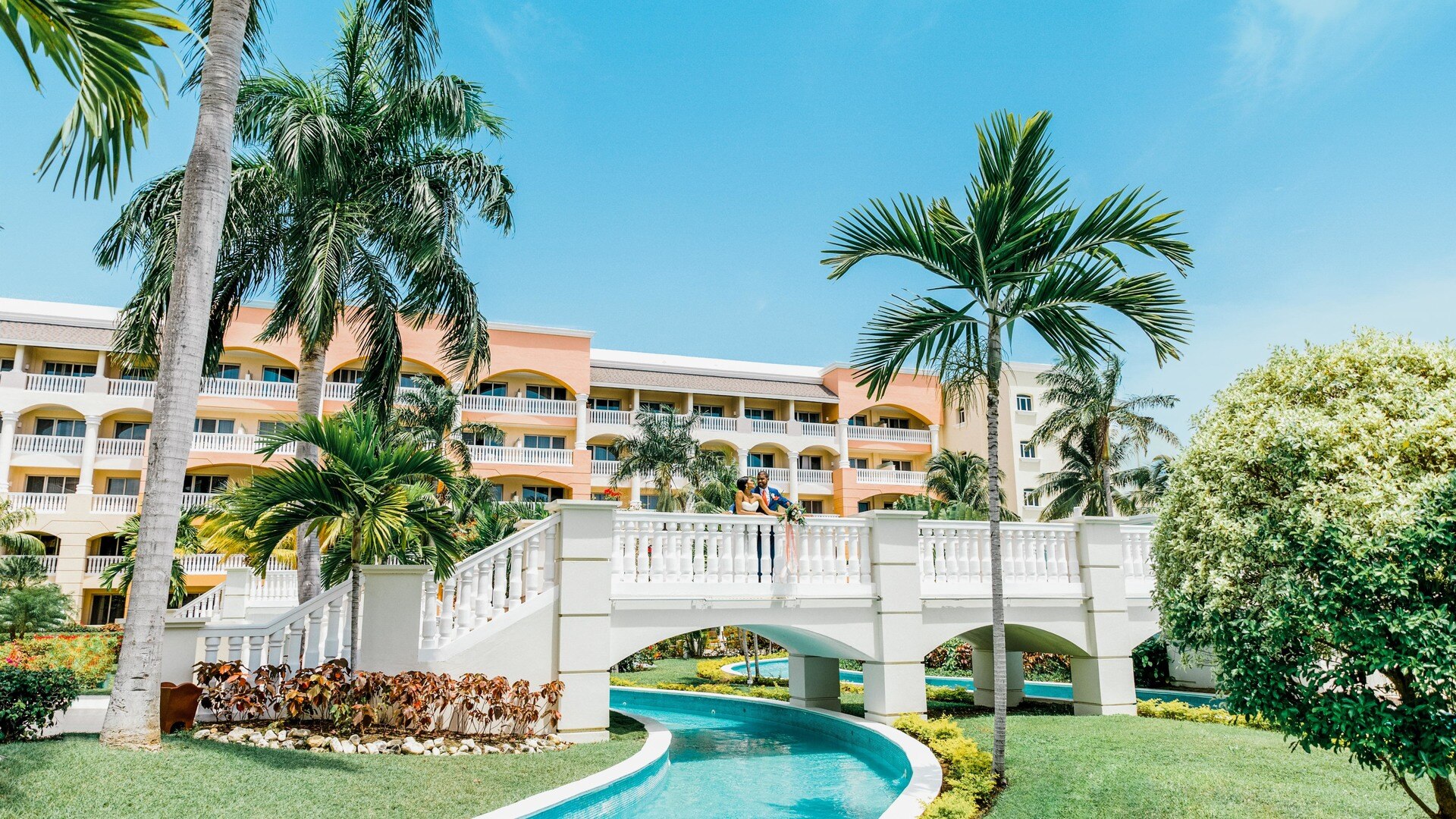 a pool next to a palm tree