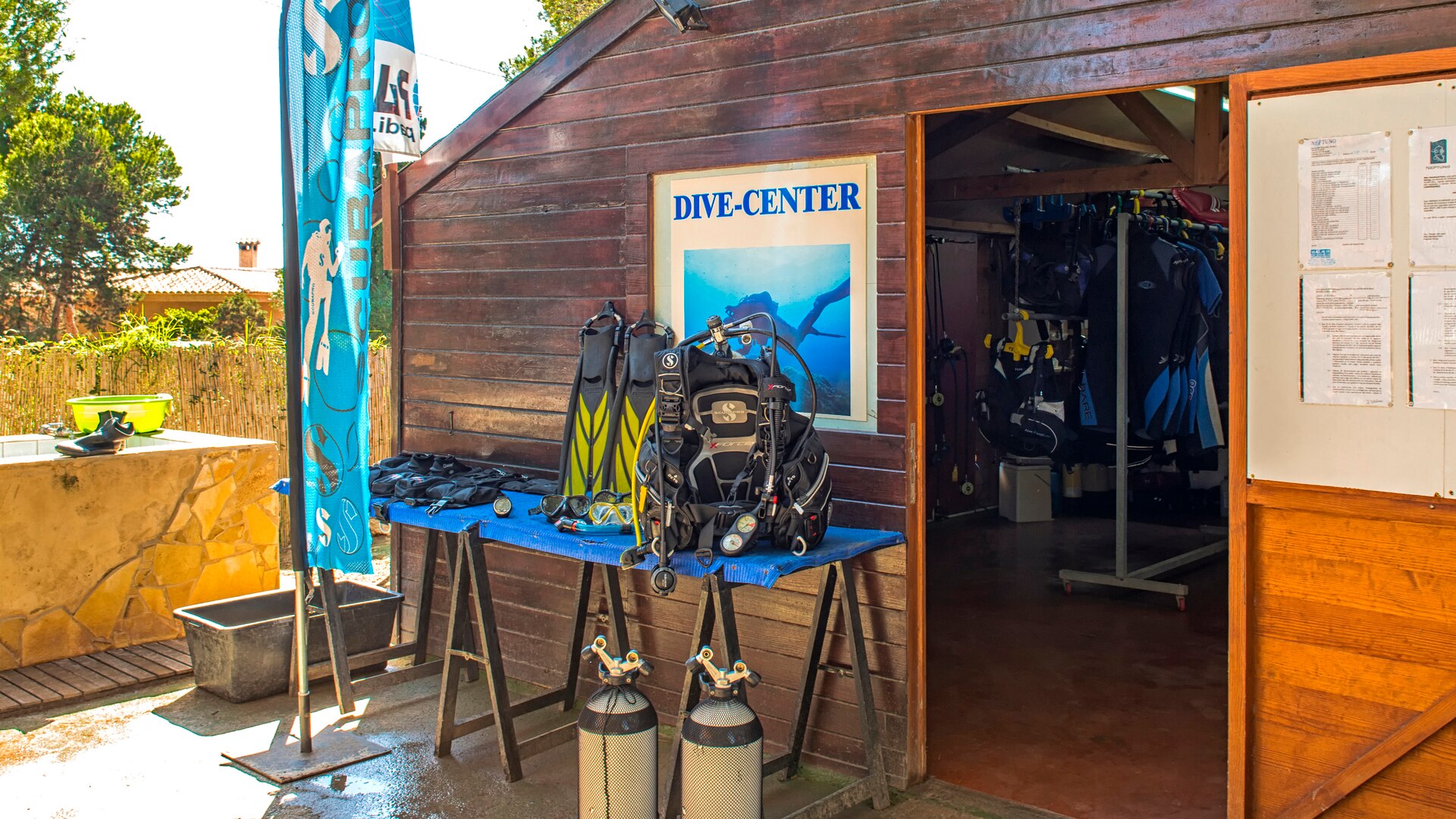 a dog swimming in a pool of water