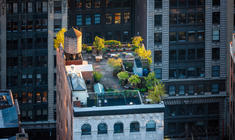 un jarrón de flores se sienta frente a un edificio