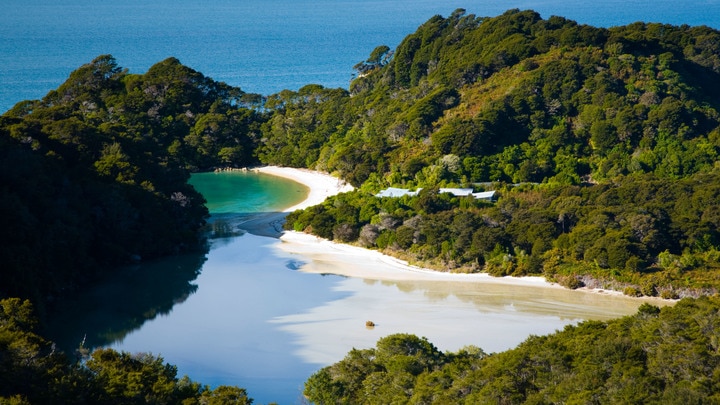 a close up of a hillside next to a body of water