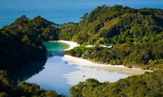 a close up of a hillside next to a body of water