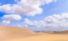 a group of clouds in the sand