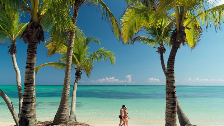 a man standing next to a palm tree on a beach