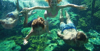 un grupo de personas nadando en una piscina de agua