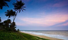 a beach next to a body of water