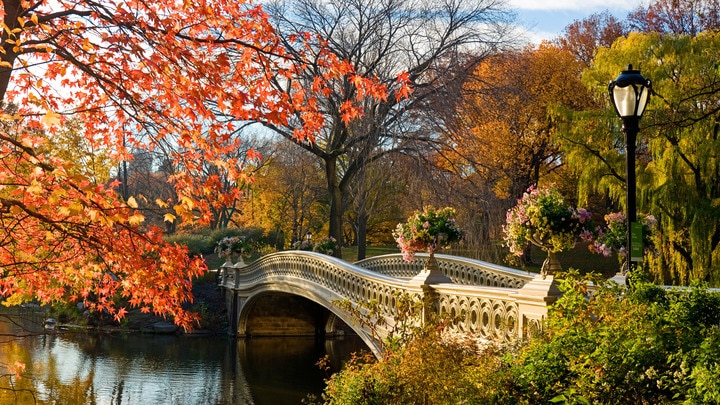 a bridge over a river