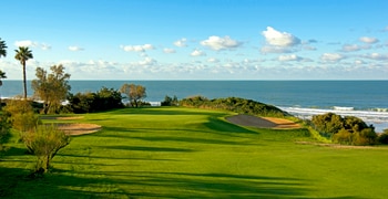 a large green field with trees in the background with Torrey Pines Golf Course in the background