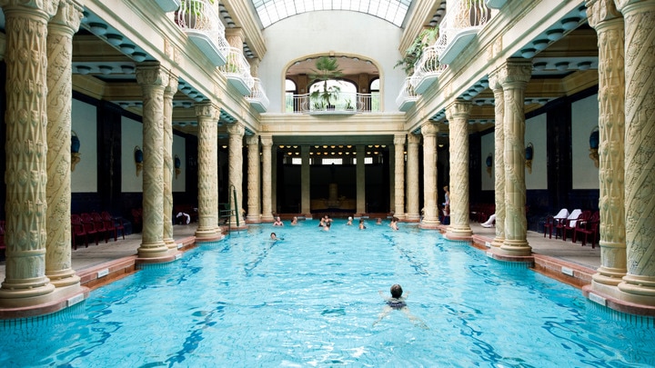 a group of people swimming in a pool of water