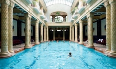 a group of people swimming in a pool of water