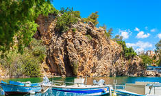 a rocky river with trees on the side of a canyon