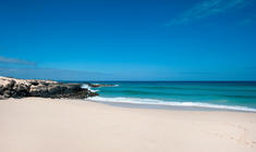 a sandy beach next to the ocean