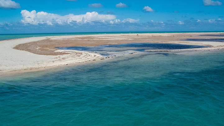 una playa de arena junto al océano