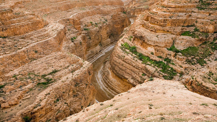 un primer plano de un cañón