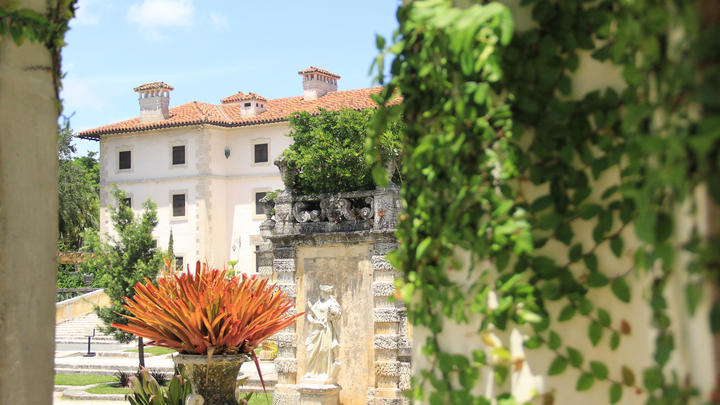 un primer plano de un jardín de flores frente a un edificio