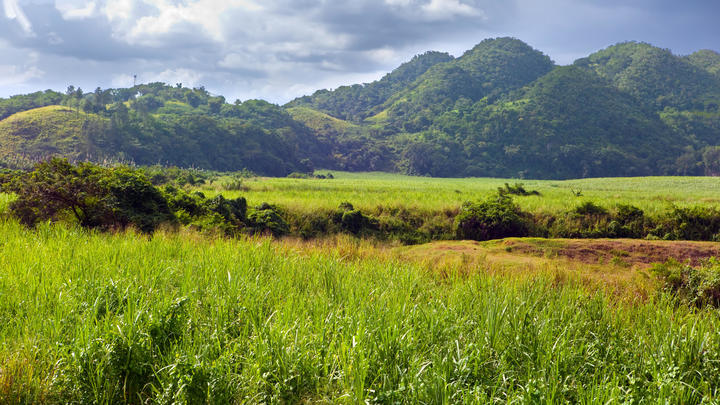 a large green field with a mountain in the background