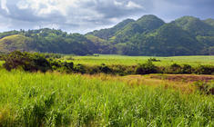 a large green field with a mountain in the background