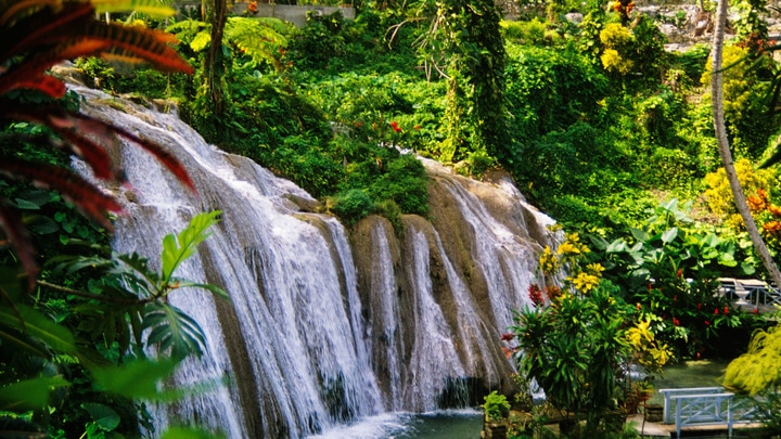 a large waterfall in a forest