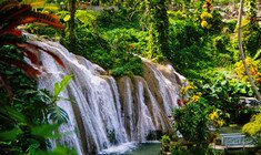 a large waterfall in a forest