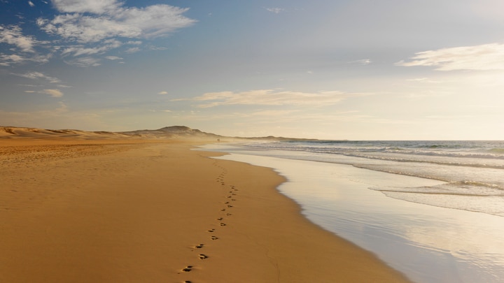 a sandy beach next to a body of water