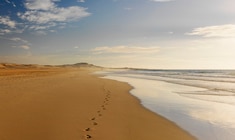 a sandy beach next to a body of water