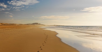 a sandy beach next to a body of water