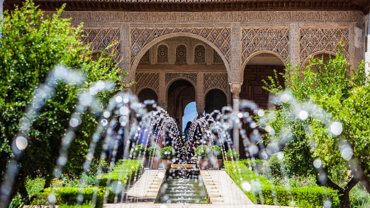 a close up of a flower garden in front of a building