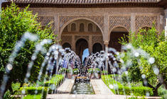 a close up of a flower garden in front of a building