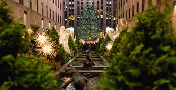 a christmas tree in a garden