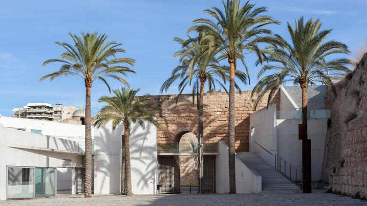 a palm tree in front of a building