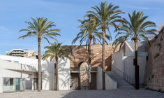 a palm tree in front of a building