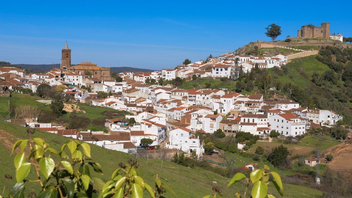 un rebaño de ovejas de pie en la parte superior de un campo cubierto de hierba