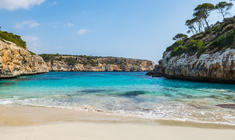 a beach next to a body of water