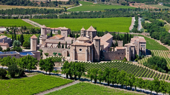 un castillo en la parte superior de un exuberante campo verde