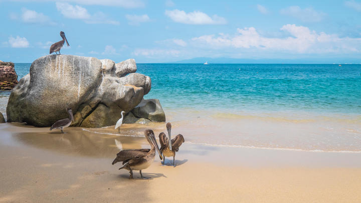 a group of people on a beach