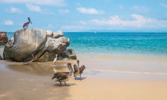 a group of people on a beach