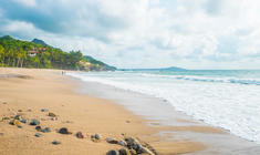 a sandy beach next to the ocean