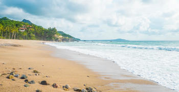 a sandy beach next to the ocean