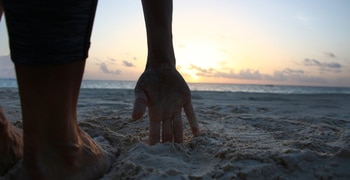 a close up of a stuffed animal on a beach