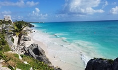 a rocky beach next to the ocean