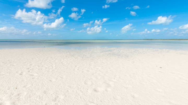 a sandy beach next to a body of water