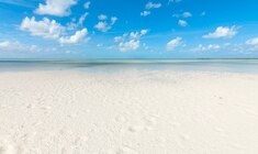 a sandy beach next to a body of water