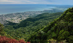 a view of a mountain