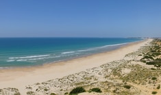 ein Sandstrand am Meer