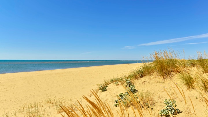 eine Nahaufnahme eines Strandes