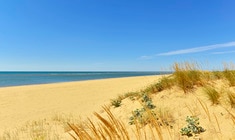 eine Nahaufnahme eines Strandes